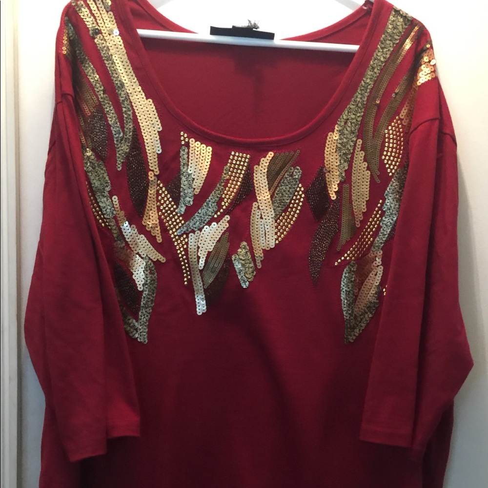 Ladies plus top